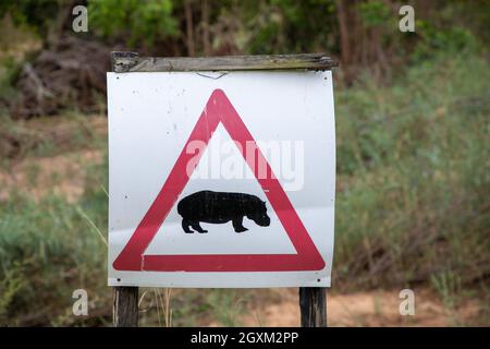 Primo piano su un segnale di avvertimento che avverte le persone che gli ippopotami si trovano nella zona. Foto Stock