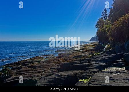 Rocky Shore a Salt Creek Una splendida giornata all'area ricreativa di Salt Creek, lungo lo stretto di Juan de Fuca. Foto Stock