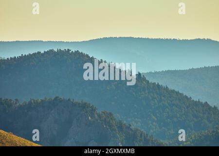 Paesaggio di montagna nebbia di pini Foto Stock