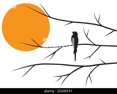 Silhouette di uccello sul ramo al tramonto, vettore. Silhouette di uccello su ramo isolato su sfondo bianco, illustrazione. Decorazioni per pareti, decorazioni per pareti. L Illustrazione Vettoriale
