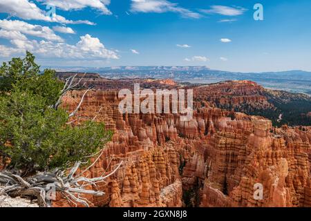 Camminando lungo il bordo dell'anfiteatro di Bryce potrai ammirare diverse vedute del canyon e degli Hoo Doos Foto Stock