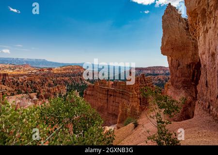 Camminando lungo il bordo dell'anfiteatro di Bryce potrai ammirare diverse vedute del canyon e degli Hoo Doos Foto Stock