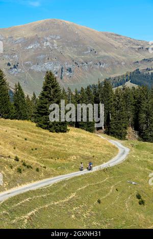 Nella zona escursionistica di Les Diablerets vicino al villaggio di Les Diablerets, Ormont-Dessus, Alpi Vaud, Vaud, Svizzera Foto Stock