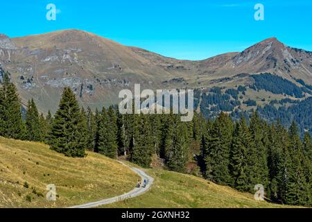 Nella zona escursionistica di Les Diablerets vicino al villaggio di Les Diablerets, Ormont-Dessus, Alpi Vaud, Vaud, Svizzera Foto Stock