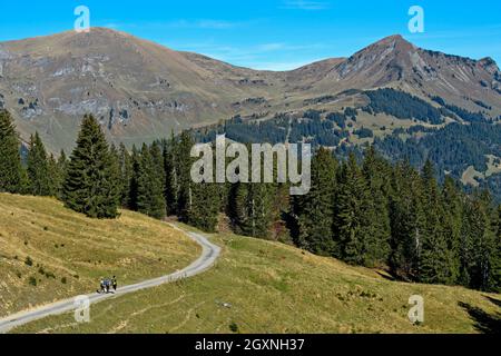 Escursionisti nella zona escursionistica di Les Diablerets vicino al villaggio di Les Diablerets, Ormont-Dessus, Alpi Vaud, Vaud, Svizzera Foto Stock