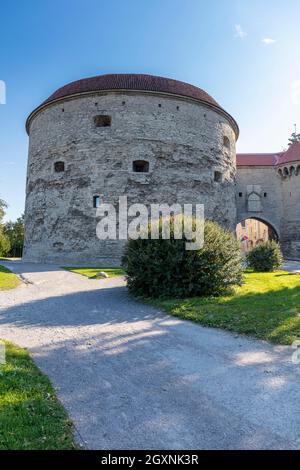 Mura della città e Dicke Margarethe, torre di difesa della fortificazione della città di Revaler, Tallinna linnamueuer, Tallinn, Estonia Foto Stock