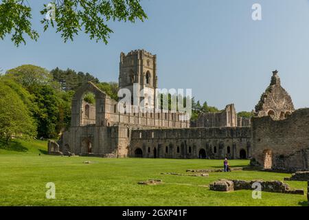 Fountains Abbey, Yorkshire Dales NP, Yorkshire, Regno Unito Foto Stock