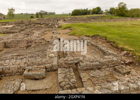 Forte romano Vindolanda, Northumbria, Regno Unito Foto Stock