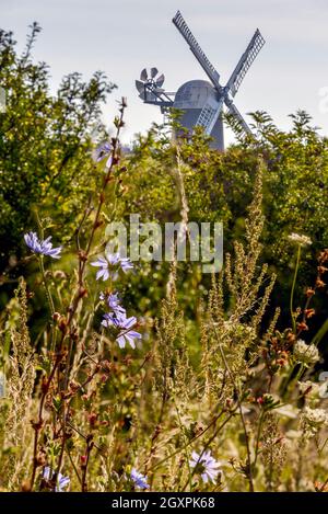 Wilton Windmill, una pietra miliare rinnovata del XIX secolo, con lussureggianti fiori estivi e siepi in primo piano. Foto Stock