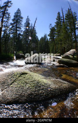 Vista dall'alto di un fiume roccioso con grandi alberi sempreverdi sullo sfondo Foto Stock
