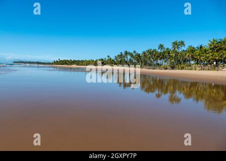 Spiaggia idilliaca con acque cristalline a Taipus de Fora, Marau, Stato di Bahia, Brasile Foto Stock