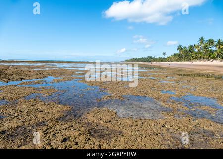 Spiaggia idilliaca con acque cristalline a Taipus de Fora, Marau, Stato di Bahia, Brasile Foto Stock