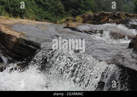 Madre della natura crea tutto per noi Foto Stock