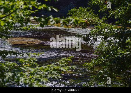 cascata sul fiume selvaggio con acqua potabile fresca in estate Foto Stock