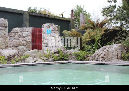 Centro termale geotermico di Rotorua. Nuova Zelanda. 17 ottobre 2011 Foto Stock