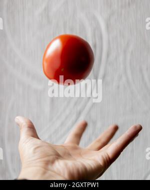 Pomodoro a mano con parete bianca testurizzata come sfondo Foto Stock