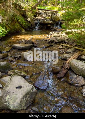 Piccolo fiume che scorre rapidamente e vividamente attraverso la sua valle rocciosa selvaggia Foto Stock