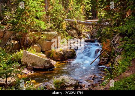Cascata in piccolo torrente con alberi caduti e massi Foto Stock
