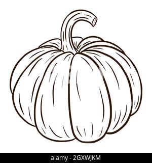 Illustrazione di Line Art Pumpkin. Icona cibo autunno. Schizzo di squash maturo. Elemento decorativo autunnale, invito a Halloween, raccolto, adesivo, stampa, logo, menu, ricetta. Illustrazione Vettoriale