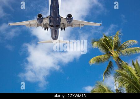 Vista inferiore del velivolo passeggeri battenti su alberi di palma tropicali. Foto Stock