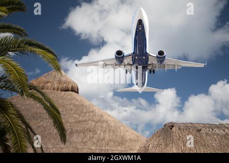 Vista inferiore del velivolo passeggeri battenti su palme tropicali e rifugi. Foto Stock
