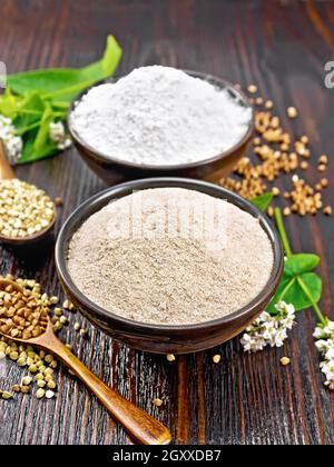 Farina di grano saraceno di cereali marroni e verdi in due ciotole, cucchiai con semole, fiori e foglie sullo sfondo di una tavola di legno Foto Stock