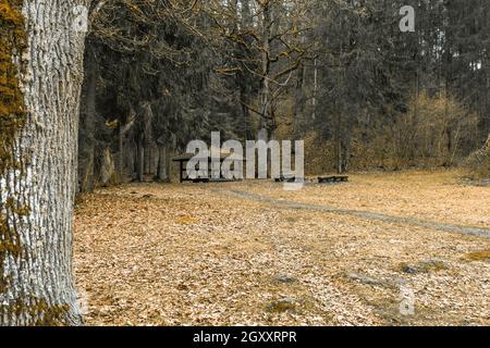 Tavolo da picnic in legno di legno e sedie in un tranquillo parco naturale Woodland Area. Foto Stock