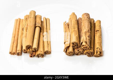 due tipi di cinnamon ceylon - erba premium e continentale su piastra bianca Foto Stock
