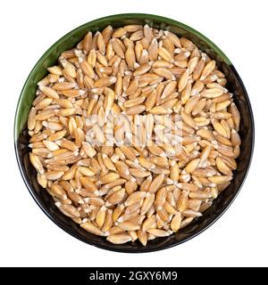 Vista dall'alto dei grani di grano arginato Emmer farro rotondi ciotola isolata su sfondo bianco Foto Stock