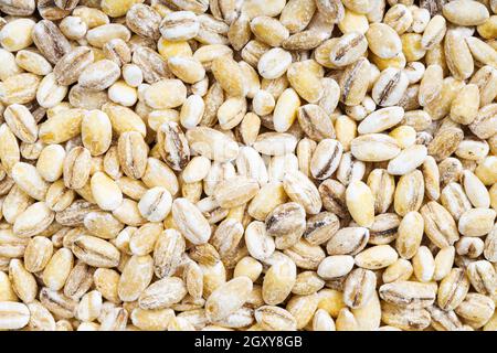 cibo di fondo - grani di orzo perlati non cotti Foto Stock