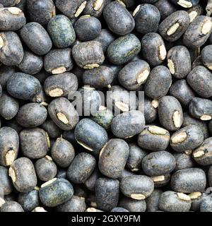 fondo di cibo quadrato - fagioli di urad interi neri grezzi vicino su Foto Stock