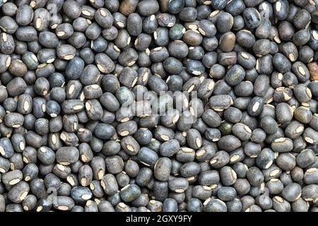 cibo di fondo - molti grezzi interi fagioli di urad neri vicino su Foto Stock