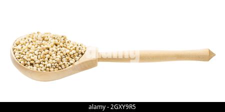 Gres di Sorghum grezzi lucidati in cucchiaio di legno isolato su bianco sfondo Foto Stock