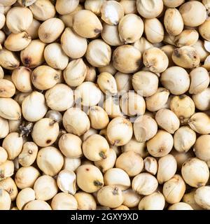 Fondo alimentare quadrato - grumi di sorgo non lucidati primo piano Foto Stock