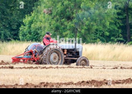 Middleshaw, Scozia - 16 agosto 2020 : trattore Vintage Ferguson 35 in competizione con un'aratura locale Foto Stock