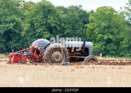 Middleshaw, Scozia - 16 agosto 2020 : trattore Vintage Ferguson 35 in competizione con un'aratura locale Foto Stock