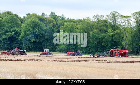 Middleshaw, Scozia - 16 agosto 2020 : l'aratura si abbina ai trattori d'epoca Foto Stock