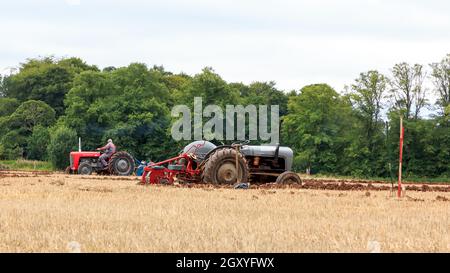 Middleshaw, Scozia - 16 agosto 2020 : trattore Vintage Ferguson 35 in competizione con un'aratura locale Foto Stock