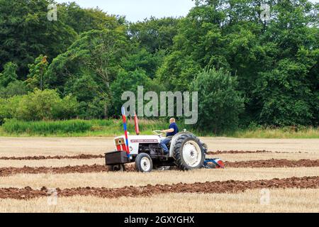 Middleshaw, Scozia - 16 agosto 2020 : trattore Old David Brown 880 che gareggia in una partita di aratura locale Foto Stock