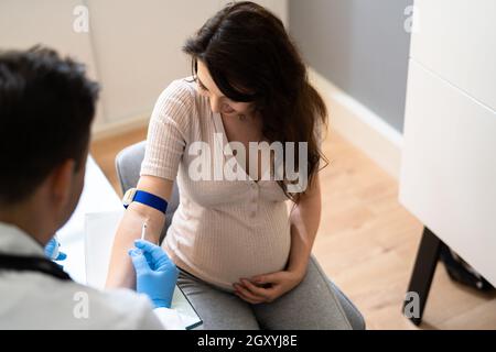 Screening prenatale. Prelievo medico campione di sangue da donna incinta Foto Stock