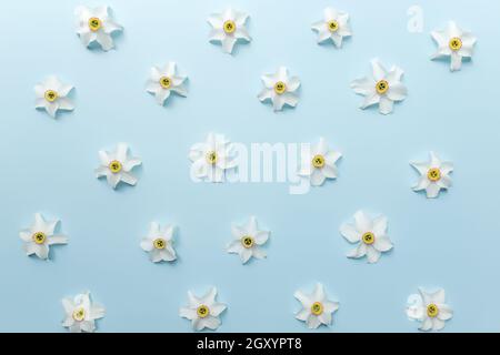 Collezione estiva concept piatto adagia su sfondo blu con ornate di teste floreali di daffodil bianco. Foto di alta qualità Foto Stock