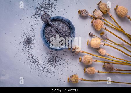 Mazzo di teste di papavero e ciotola con semi sul tavolo da cucina. Foto Stock
