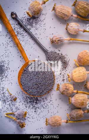 Mazzo di teste di papavero e ciotola con semi sul tavolo da cucina. Foto Stock