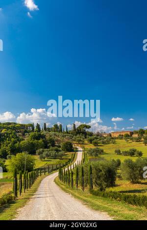 Tipico paesaggio toscano vicino a Montepulciano e Monticchielo, Italia Foto Stock