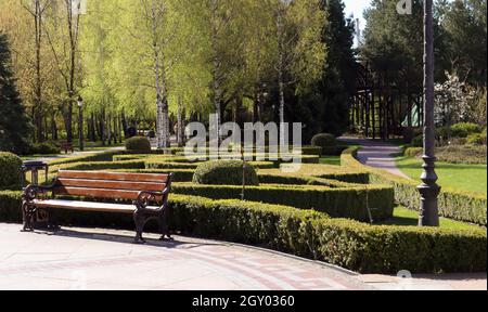 Recinzioni di verde cespuglio nel parco della città. Giardinaggio naturale. Bella vista sul giardino ben tenuto. Paesaggistica in estate Foto Stock