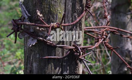 Vecchio recinto di legno con filo spinato arrugginito. Una recinzione accanto ad una strada rurale. Look vintage. Un palo di legno intorno al perimetro della recinzione del pascolo Foto Stock