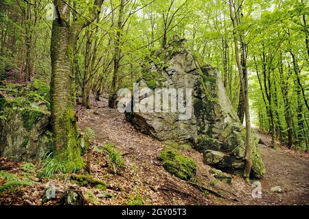 Rocce nella foresta, Bruchhauser Steine, Germania, Renania settentrionale-Vestfalia, Sauerland, Olsberg Foto Stock
