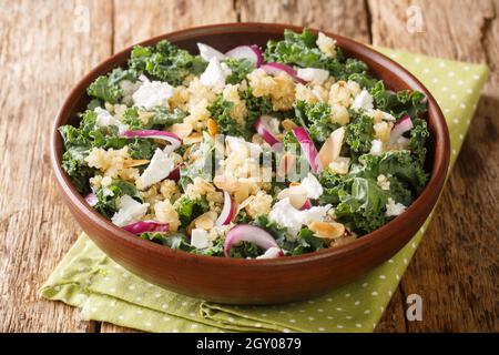 insalata dietetica semplice fatta con quinoa, cipolle, kale, feta e mandorle primo piano in una ciotola sul tavolo. orizzontale Foto Stock