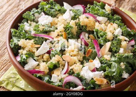 Insalata vegetariana con quinoa, cipolle, kale, feta e mandorle condite con olio vegetale da vicino in una ciotola sul tavolo. Orizzontale Foto Stock
