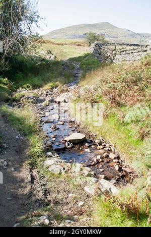 Piccolo torrente e sentiero vicino a Park Gate Coniston Cumbria Inghilterra Foto Stock